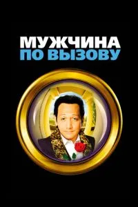 смотреть Мужчина по вызову (1999)