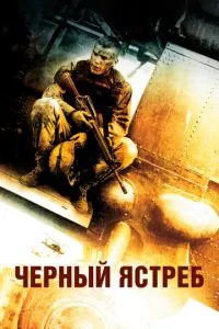 смотреть Чёрный ястреб (2001)