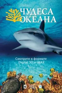 смотреть Чудеса океана 3D (2003)