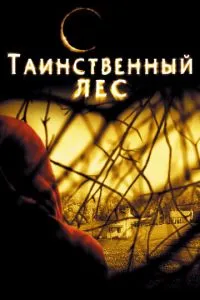 смотреть Таинственный лес (2004)