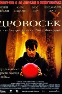 смотреть Дровосек (2004)