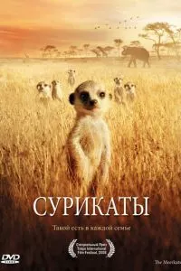 смотреть Сурикаты (2007)