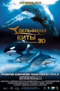 смотреть Дельфины и киты 3D (2008)