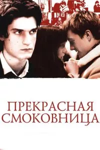 смотреть Прекрасная смоковница (2008)