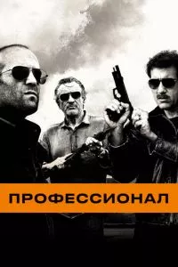 смотреть Профессионал (2011)