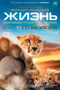 смотреть Жизнь (2011)