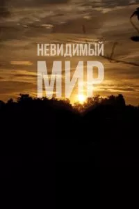 смотреть Невидимый мир (2012)