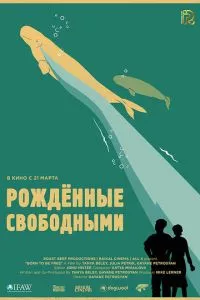 смотреть Рожденные свободными (2016)