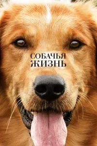 смотреть Собачья жизнь (2017)