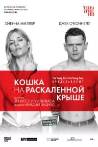 смотреть Кошка на раскалённой крыше (2018)