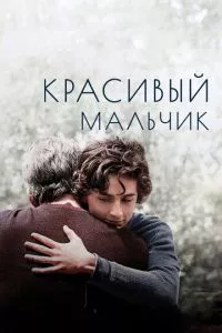 смотреть Красивый мальчик (2018)