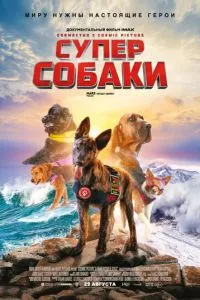 смотреть Суперсобаки (2019)