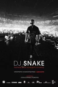 смотреть DJ SNAKE: Париж 2020. Концерт в кино (2020)