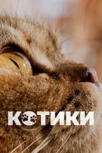 смотреть Котики (2022)