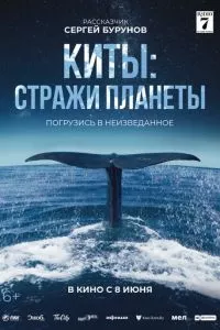 смотреть Киты: Стражи планеты (2023)