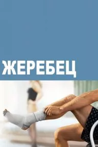 смотреть Жеребец (сериал)