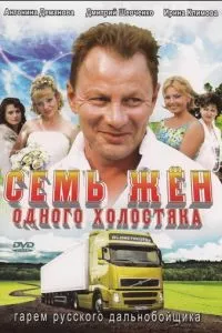 смотреть Семь жен одного холостяка (сериал)