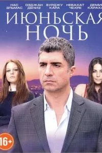 смотреть Июньская ночь (сериал)