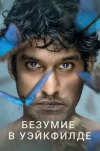 смотреть Безумие в Уэйкфилде (сериал)