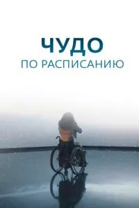 смотреть Чудо по расписанию (сериал)