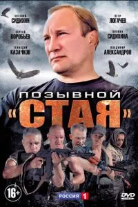 смотреть Позывной «Стая» (сериал)