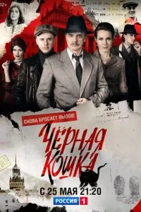 смотреть Черная кошка (сериал)