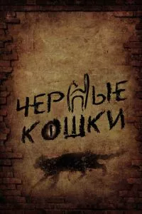 смотреть Черные кошки (сериал)