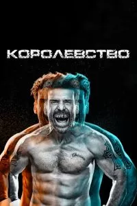 смотреть Королевство (сериал)