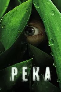 смотреть Река (сериал)