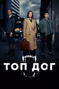 смотреть Топ дог (сериал)