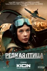 смотреть Редкая птица (сериал)