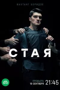 смотреть Стая (сериал)